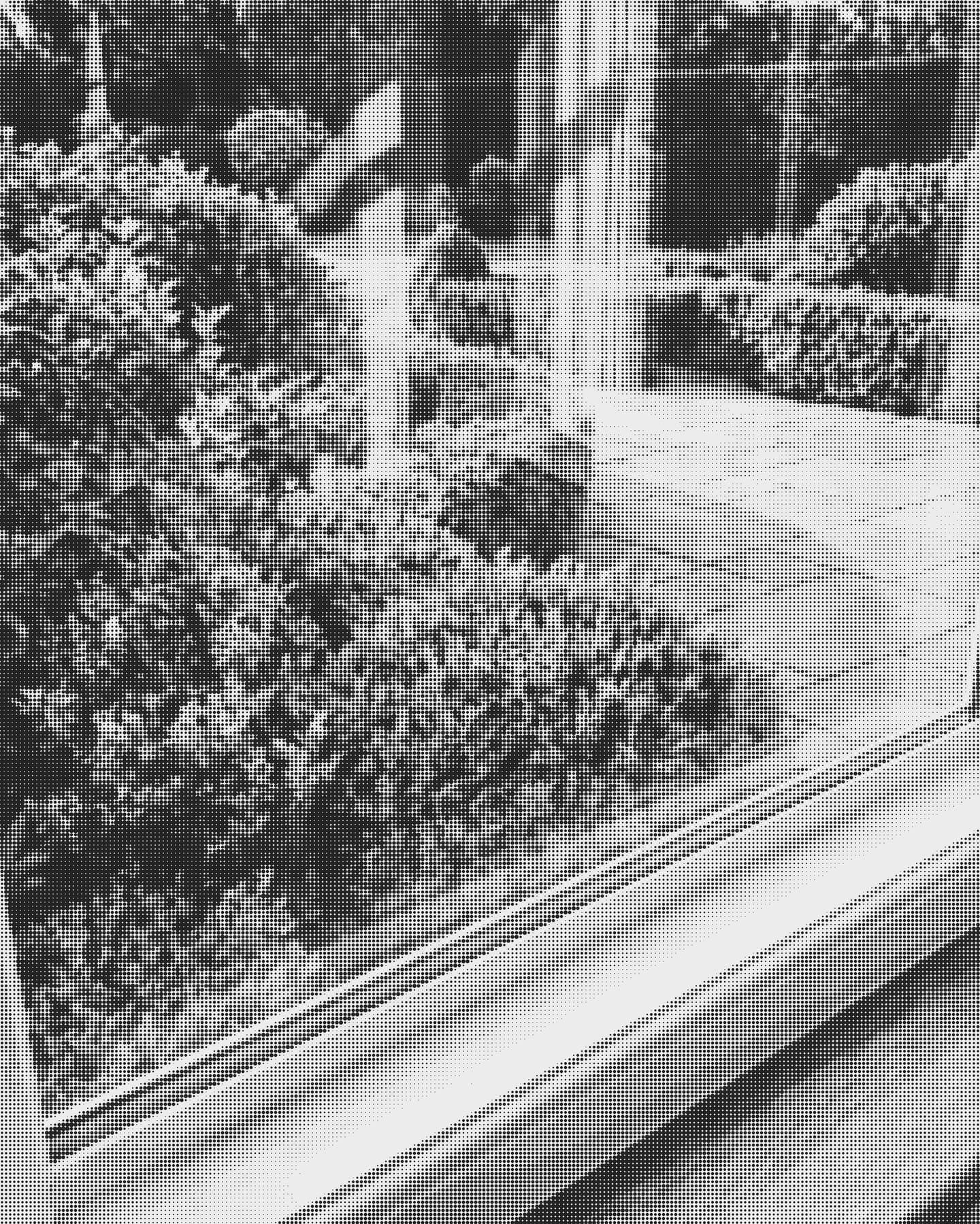 Fensterscheibe mit Blick in einen Garten, als graues Punktraster (Beispielbild)